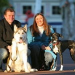 dog behavior consultation with Alana Stevenson for inter-dog aggression and attention-seeking behavior, Massachusetts — client testimonial