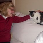 fearful cats, afraid of cats and dislike being handled in Milton, Massachusetts, Alana Stevenson review