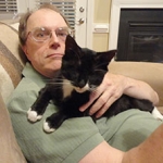 multiple cats not getting along, blind cats and three-legged cat, in Cary, North Carolina — Alana Stevenson review