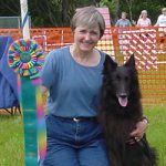 training help for Belgian Sheepdog with resource guarding — positive dog training review, New York