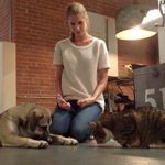 dog behavior consult for rescued, adopted dog jumping, nipping, barking, refusing to walk, lying down on walks, and chasing the cat, Boston, Massachusetts — client review for Alana Stevenson