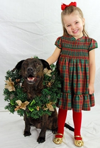 positive dog training for rescued shelter dog — client testimonial for Alana Stevenson, Massachusetts