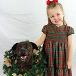 rescued shelter puppy positive dog training classes — Alana Stevenson, Massachusetts, client review
