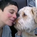 one year old rescued goldendoodle — dog training help for fear of men, growling, snapping, and trust bonding, Massachusetts — review for Alana Stevenson