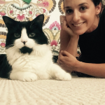 Alana Stevenson client review — cat aggression, biting and scratching, Washington, D.C.