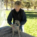 Theresa Gagnon, CVT, LMT, massaging Brussels Griffon — testimonial for Alana Stevenson's knowledge of dog and cat behavior
