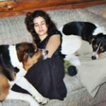 dog training for Swiss Mountain Dog — relationship building, leash-reactivity, jumping, positive training, New York — Alana Stevenson, review