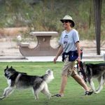 training for fearful huskies, Arizona — Susan Banes, Alana Stevenson testimonial