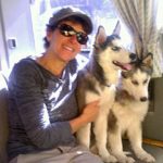 dog training help for two fearful huskies in Arizona — review for Alana Stevenson, Susan Banes (OmDog) Durango, Colorado 