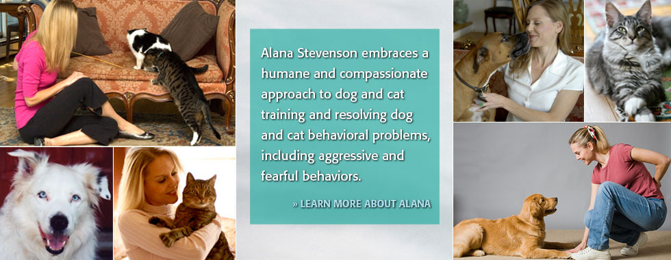 Alana Stevenson Animal Behaviorist & Trainer