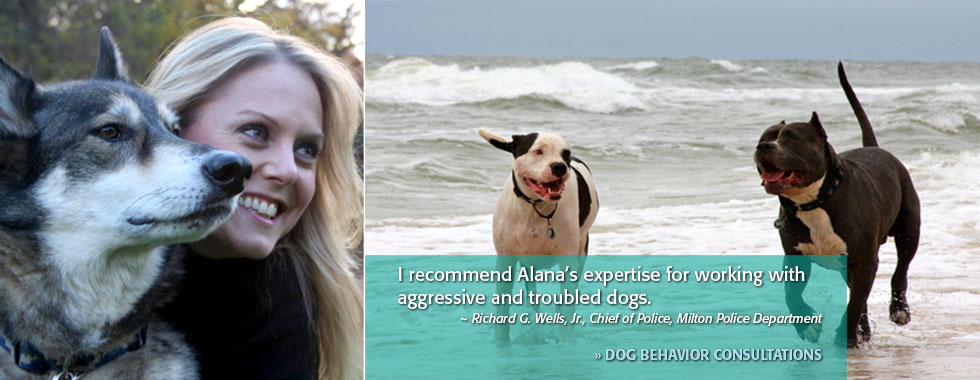 Alana Stevenson Dog Behavior Consults