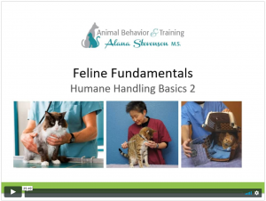 humane cat handling tutorial – pt 2 by Alana Stevenson
