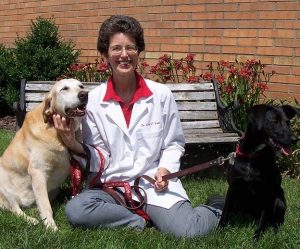 Dr. Sally Foote, veterinarian and behaviorist in Illinois, with her two dogs, recommending Alana Stevenson for dog and cat behavior help