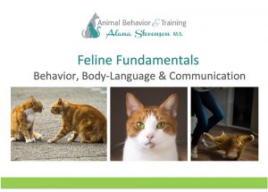 Cat Behavior, Body Language and Communication instructional tutorial by Alana Stevenson