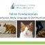 Cat Behavior, Body Language and Communication instructional tutorial by Alana Stevenson