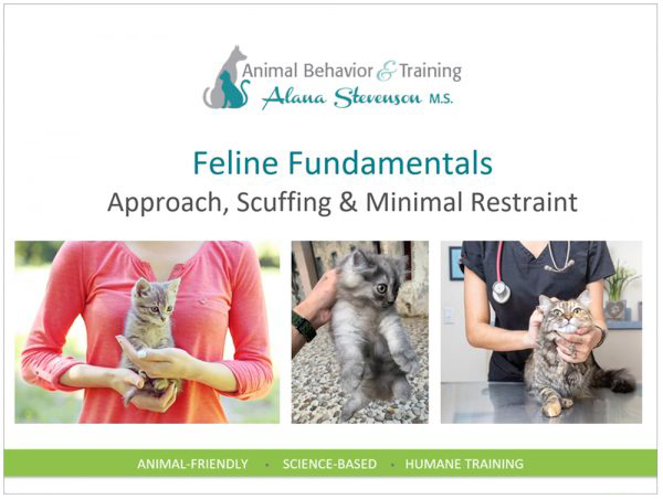 approach, scruffing, and minimal restraint — humane cat handling tutorial by Alana Stevenson, behaviorist