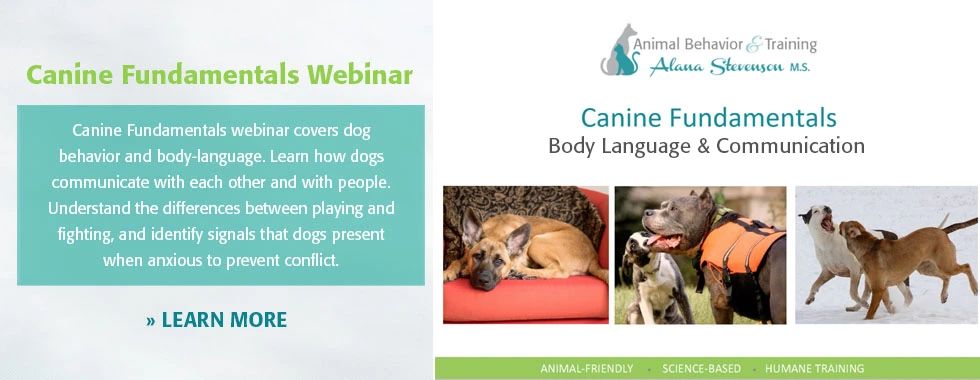 Canine Behavior Webinar - Alana Stevenson