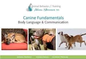 dog behavior & training tutorial by Alana Stevenson — dog behavior and communication