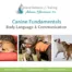 dog behavior & training tutorial by Alana Stevenson — dog behavior and communication