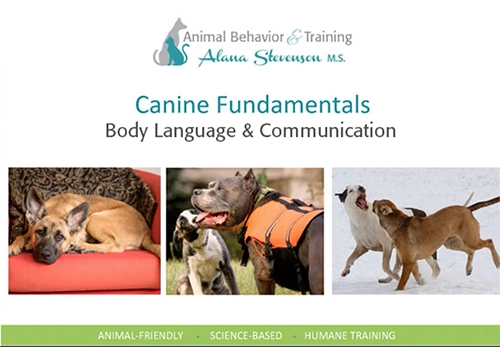dog behavior & training tutorial by Alana Stevenson — dog behavior and communication