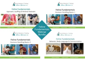 cat behavior and handling tutorials