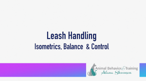 Leash Handling: Isometrics, Balance & Control