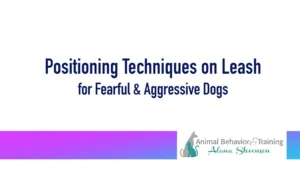 Positioning Techniques on Leash for Fearful and Aggressive Dogs