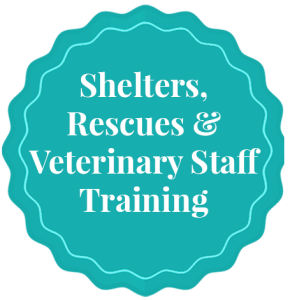 Alana Stevenson Training for Shelters, Rescues & Veterinary Staff