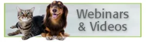 Alana Stevenson Webinars & Videos