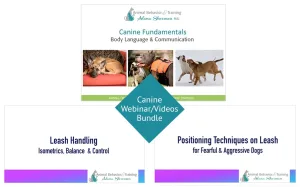 Canine Fundamentals webinars by Alana Stevenson
