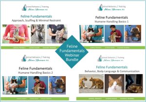 cat behavior and humane feline handling tutorial bundle by Alana Stevenson