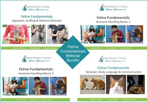 cat behavior and humane feline handling tutorial bundle by Alana Stevenson