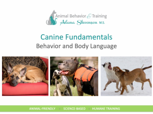 Canine Body Language & Communication Webinar