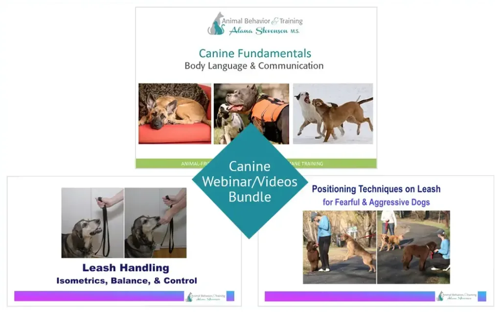 dog behavior and training bundle by Alana Stevenson