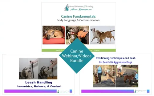 dog behavior and training bundle by Alana Stevenson