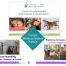 dog behavior and training bundle by Alana Stevenson
