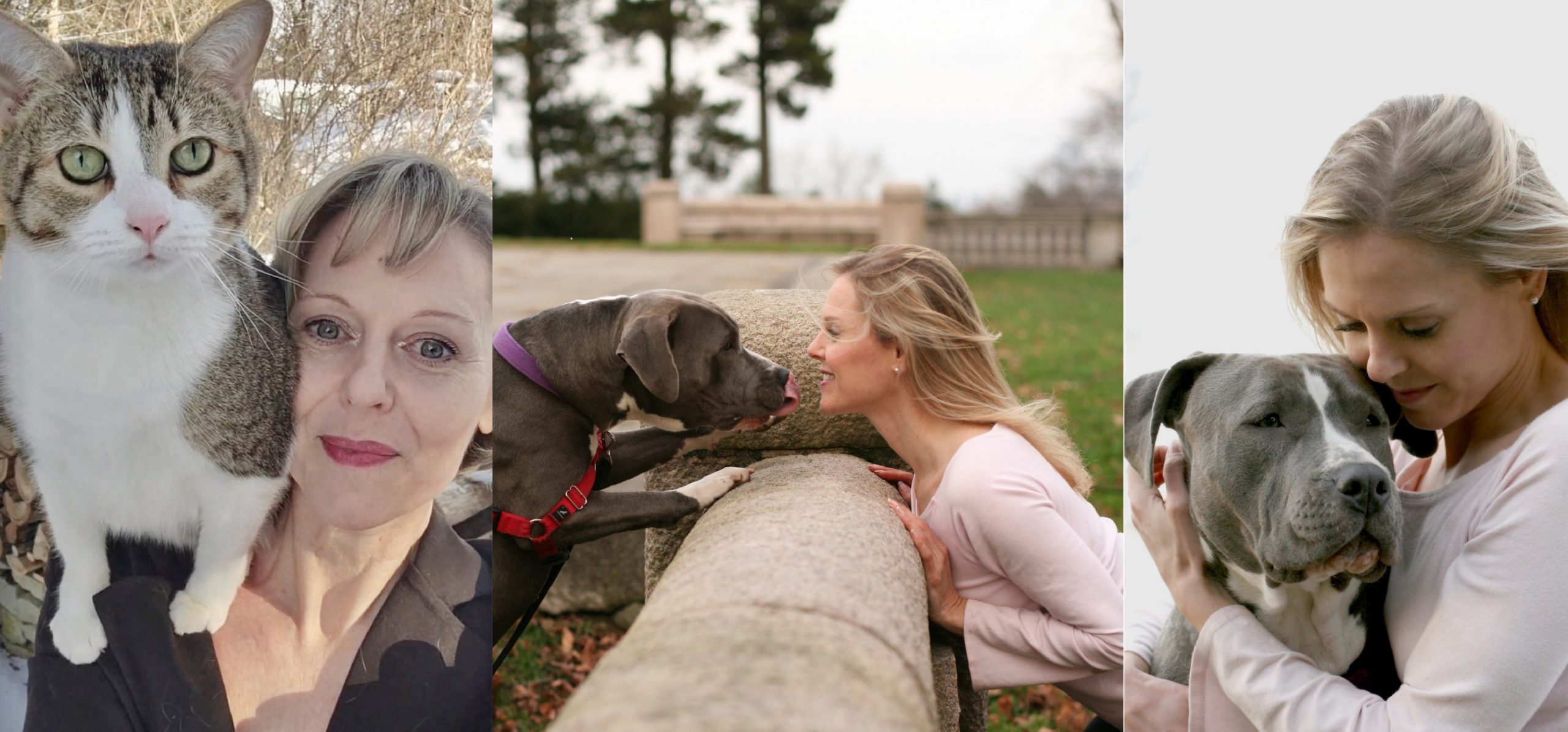 Alana Stevenson, dog behaviorist, cat behaviorist, dog trainer, and author, with tabby cat and blue nose pit bull from animal shelter