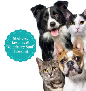 dog and cat behavioral training for animal shelter staff, rescues, and animal professionals — two dogs and two cats side by side