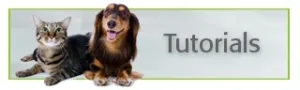 Dog & Cat Behavior & Training Tutorials