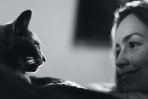 Feline Immunodeficiency Virus | Male Cat