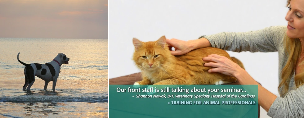 Training for Animal Professionals and Shelter Staff