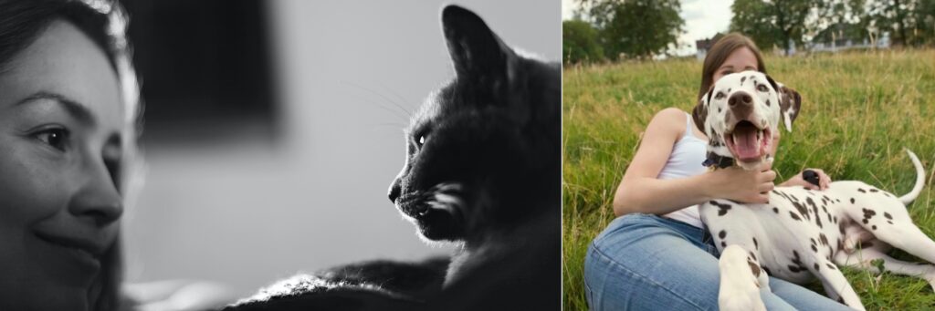 Women gazing at cat and resting with Pointer for behavior support for shelter staff and volunteers by Alana Stevenson